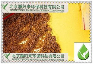 煙臺聚合硫酸鐵應用領域與環保技術開發